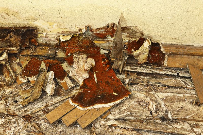 Wood Decay Repair in Kansas City, KS
