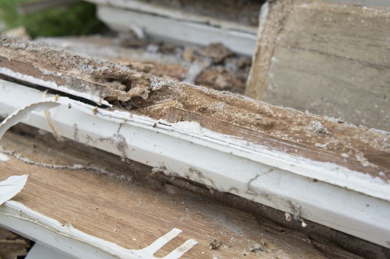 Wood Rot Removal in Indianapolis, IN