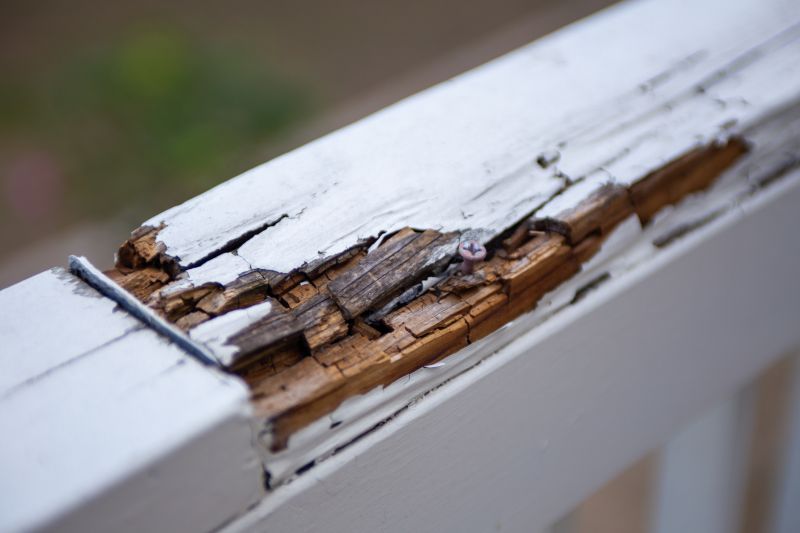 Decay Repair Service in Boulder, CO