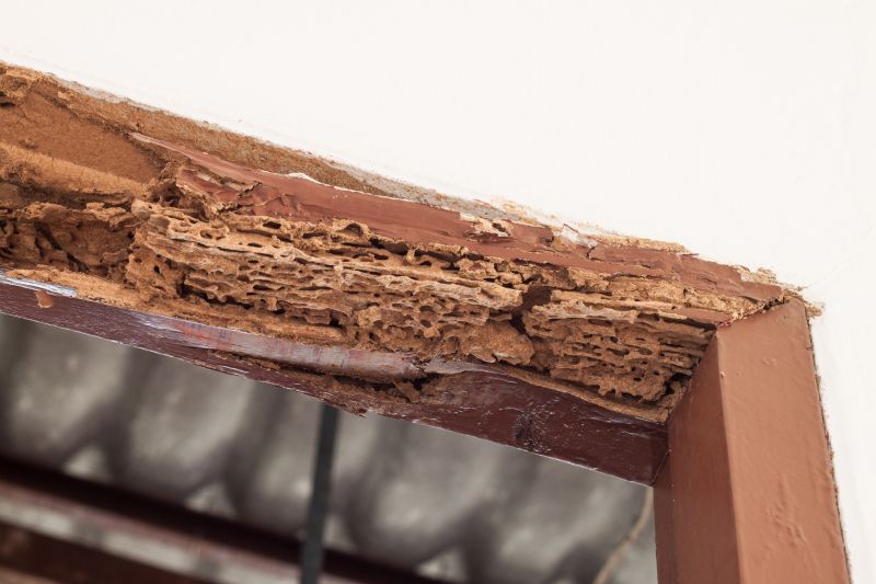 Decayed Wood Replacement in Olathe, KS