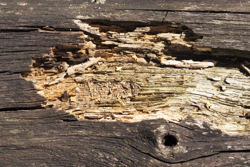 Decayed Wood Replacement in Littleton, CO