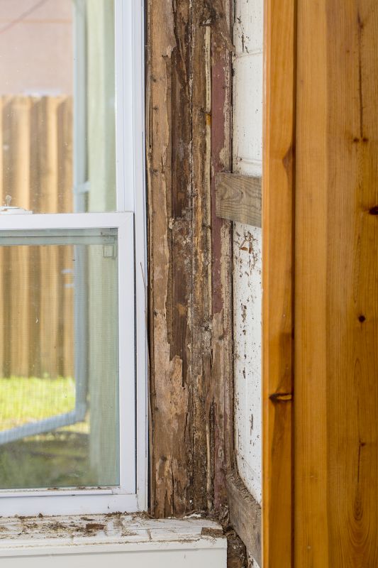 Dry Rot Repair Service