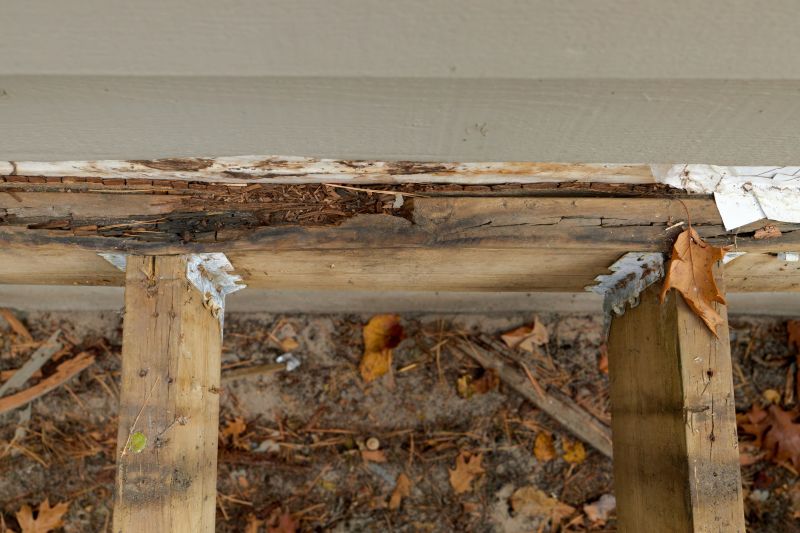 Pest Damage Repair in Conroe, TX