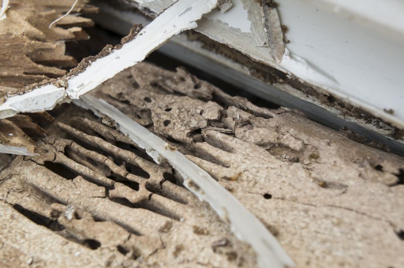 Rotten Wood Repair in Littleton, CO