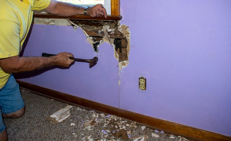 Termite Damage Repair Service in Littleton, CO