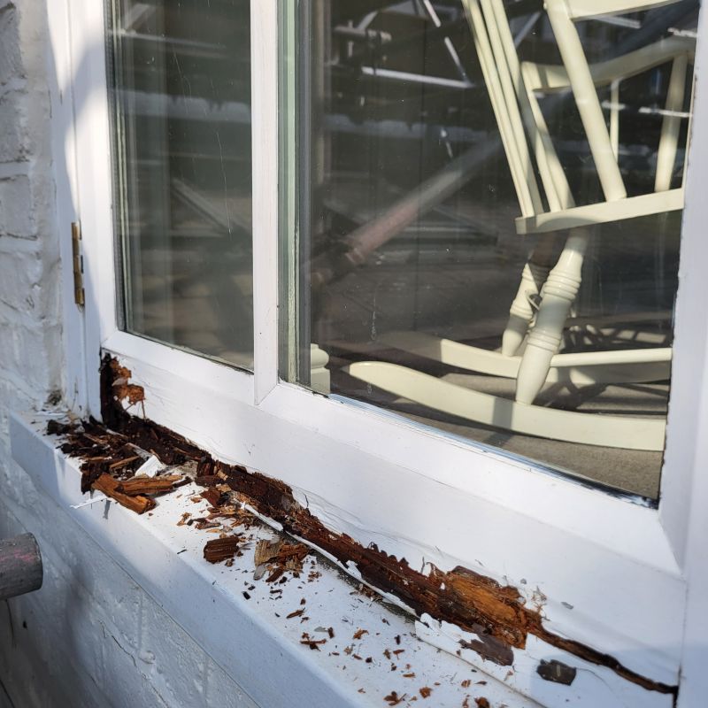 Window Rot Repair in Littleton, CO