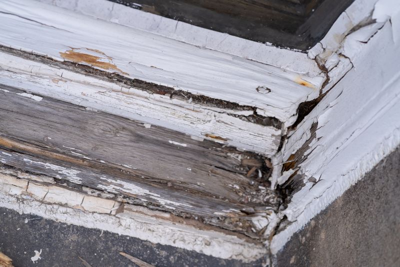 Wood Decay Removal in Arvada, CO