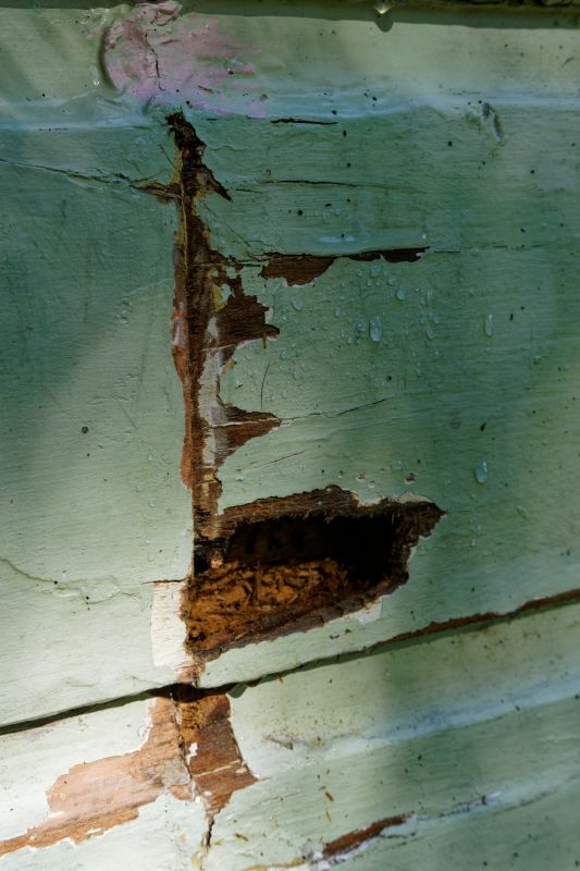 Wood Decay Removal in Roswell, GA