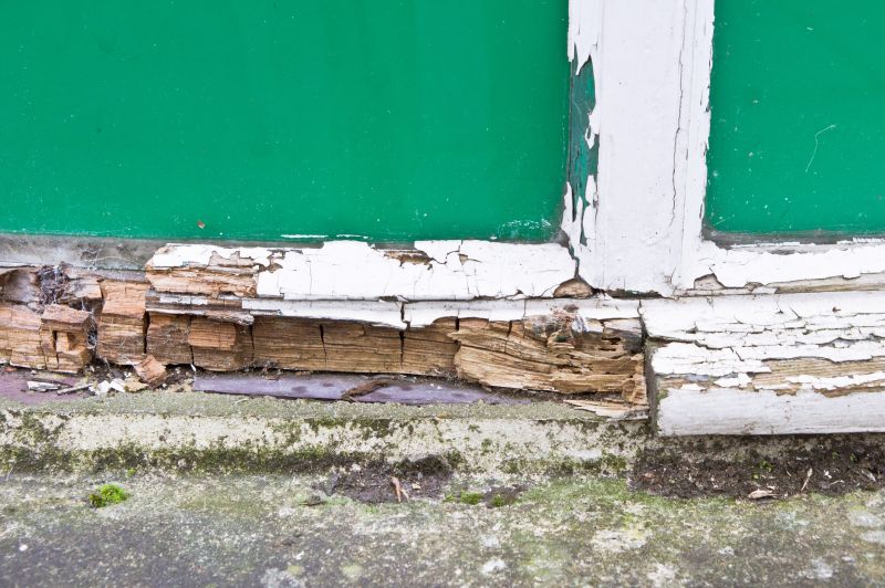 Wood Decay Removal in Denver, CO