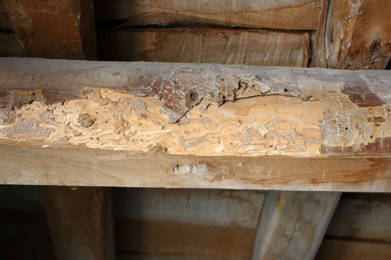 Wood Decay Repair in Boulder, CO