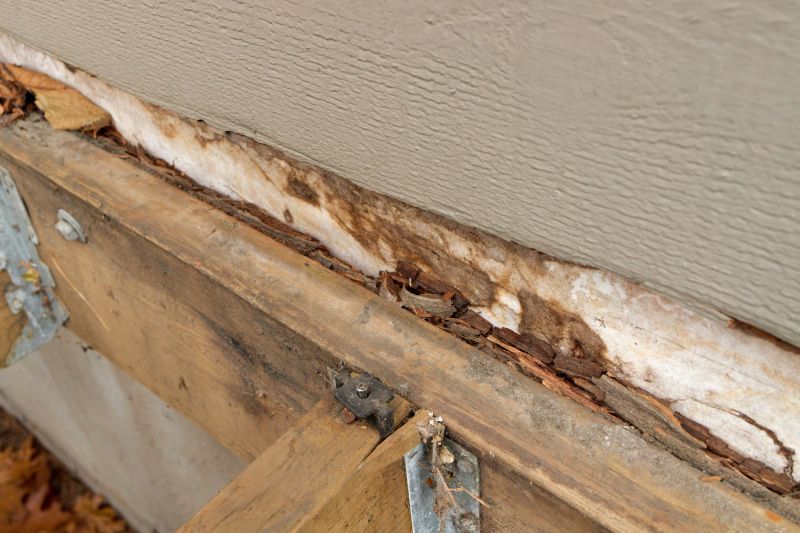 Wood Rot Removal in Indianapolis, IN
